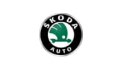 Выполняем удаление катализатора на автомобилях SKODA